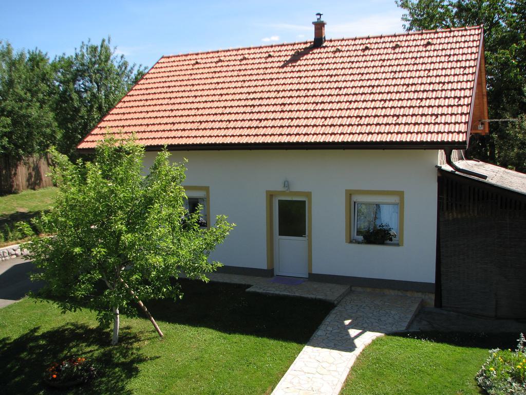 Apartment Ilija ราโควิซา ภายนอก รูปภาพ
